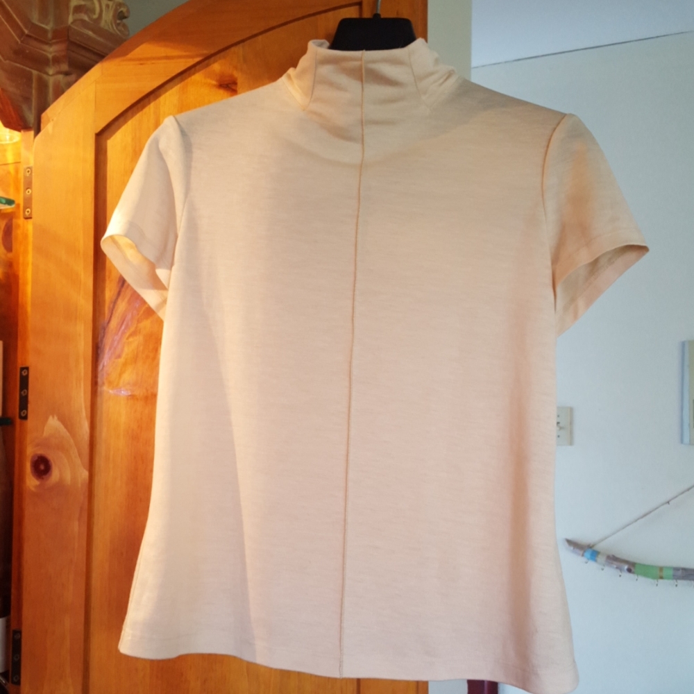 Seamed Funnel neck fitted top